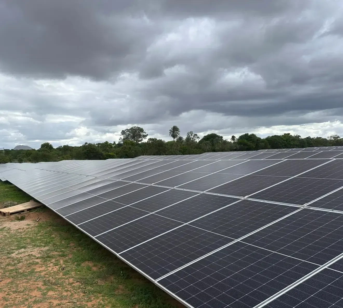 Close view along a row of installed solar modules under an overcast sky